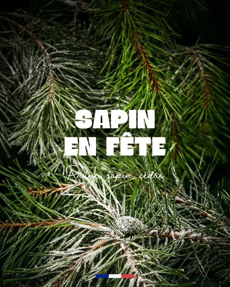 Bougie bijou Sapin en Fête