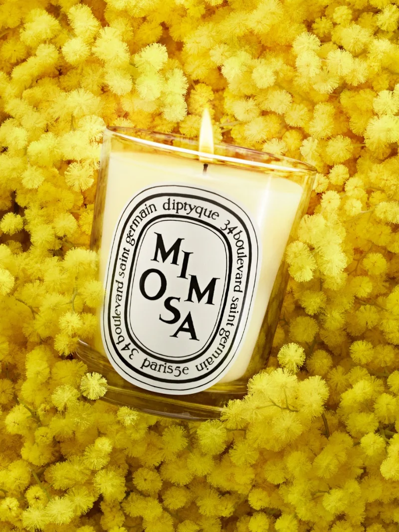 Mimosa - Bougie petit modèle