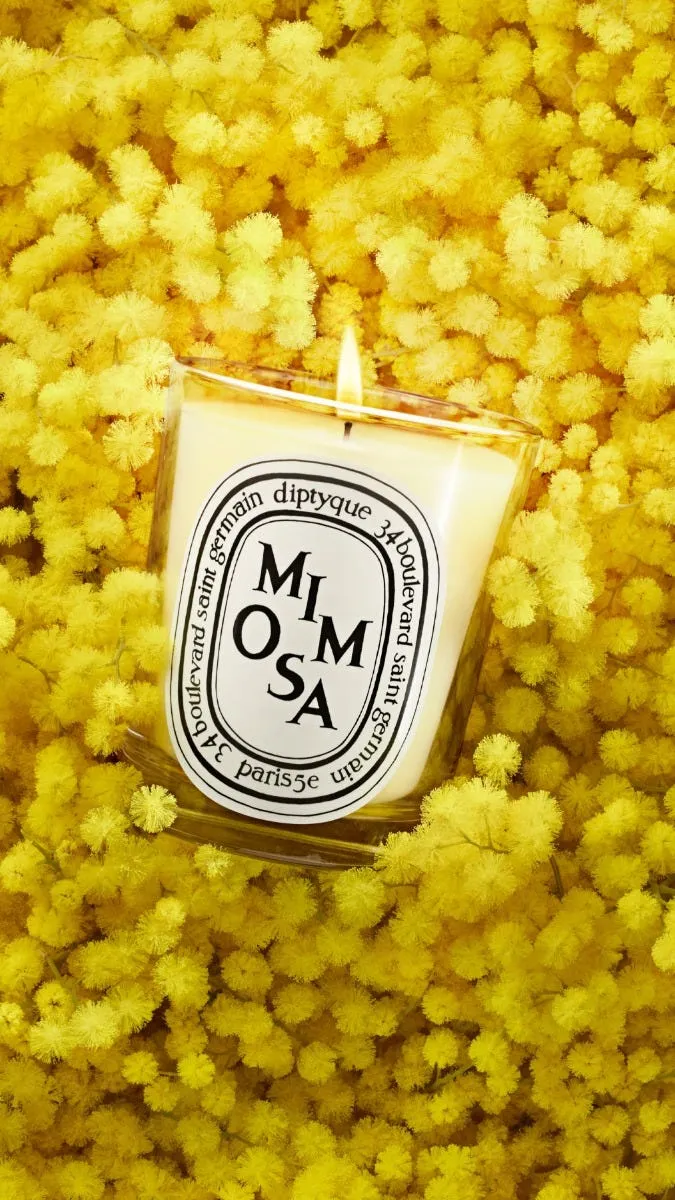 Mimosa - Bougie petit modèle
