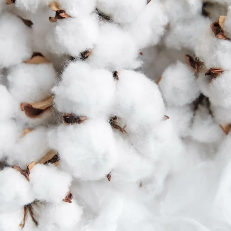 Fleur de coton Boost - Parfum pour bougie