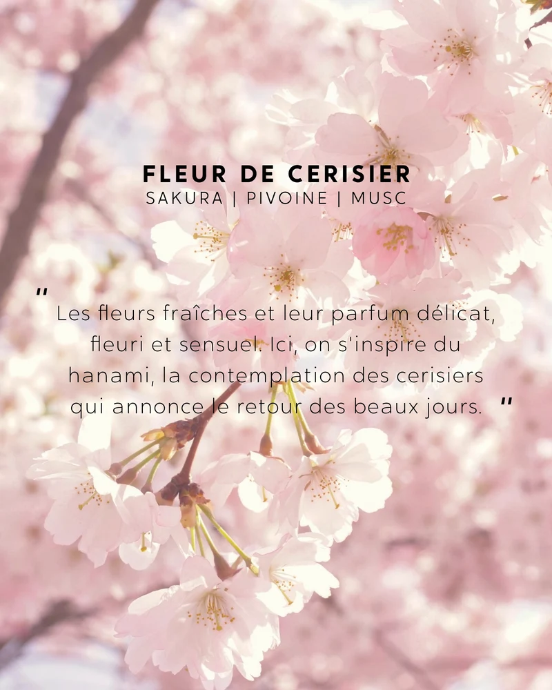 Bougie bijou Fleur de Cerisier