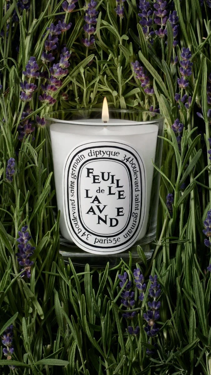 Feuille de Lavande - Bougie petit modèle
