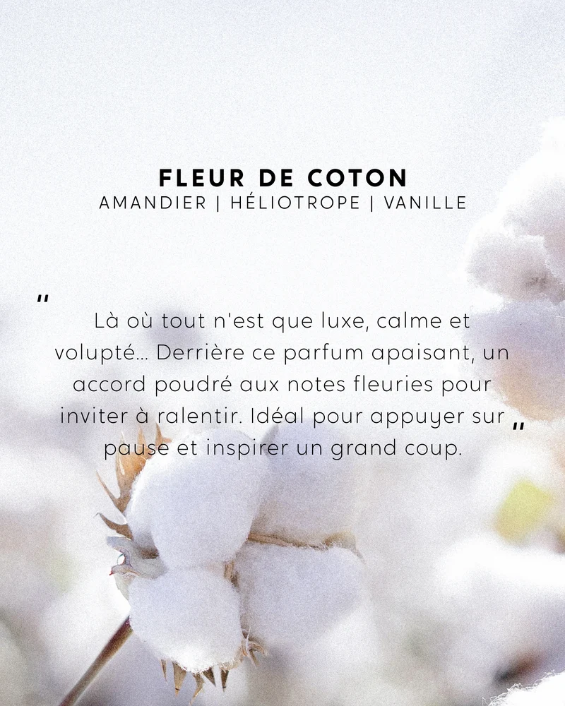 Petite bougie Fleur de Coton