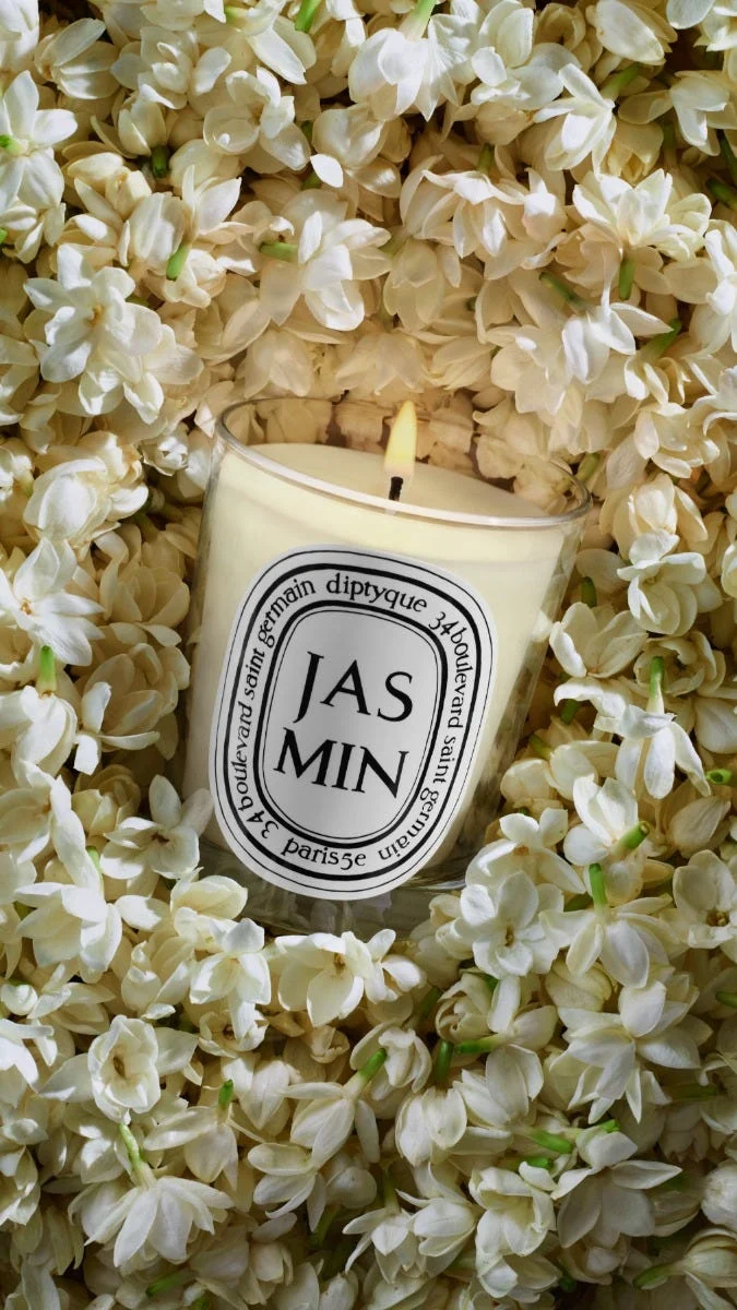 Jasmin - Bougie petit modèle