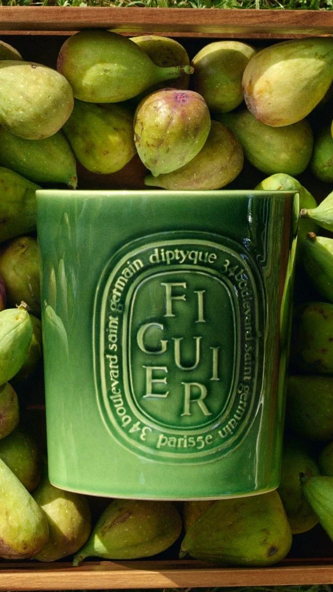 Figuier - Bougie très grand modèle