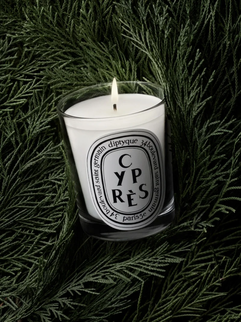 Cyprès - Bougie petit modèle