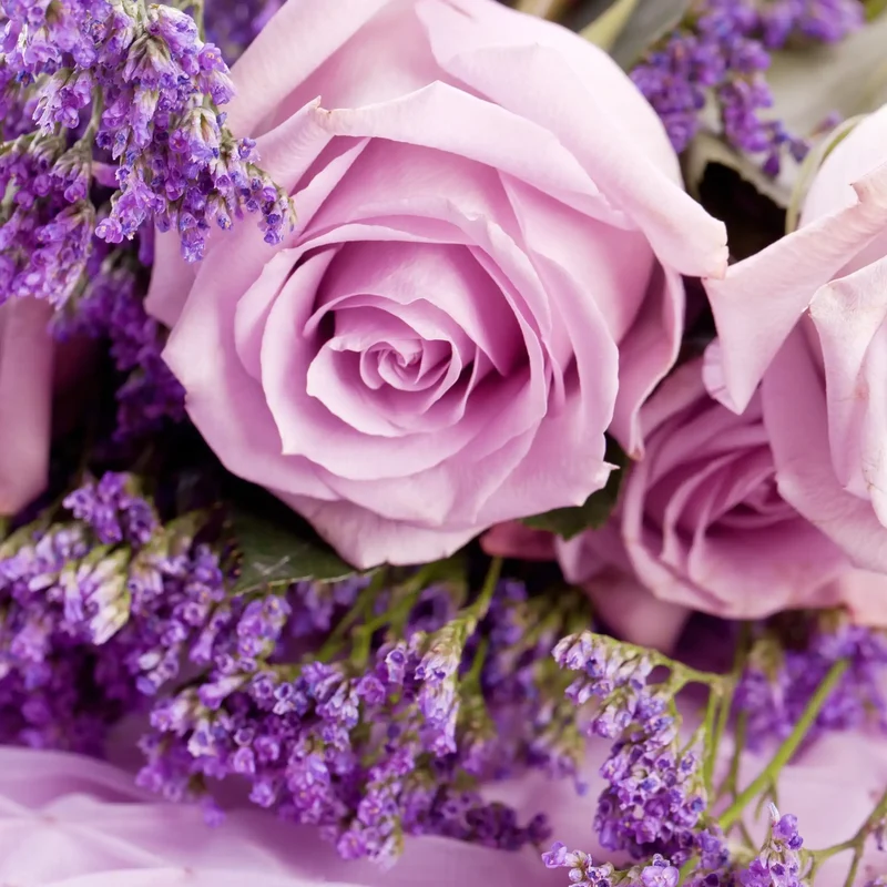 Rose lavande - Parfum pour bougie