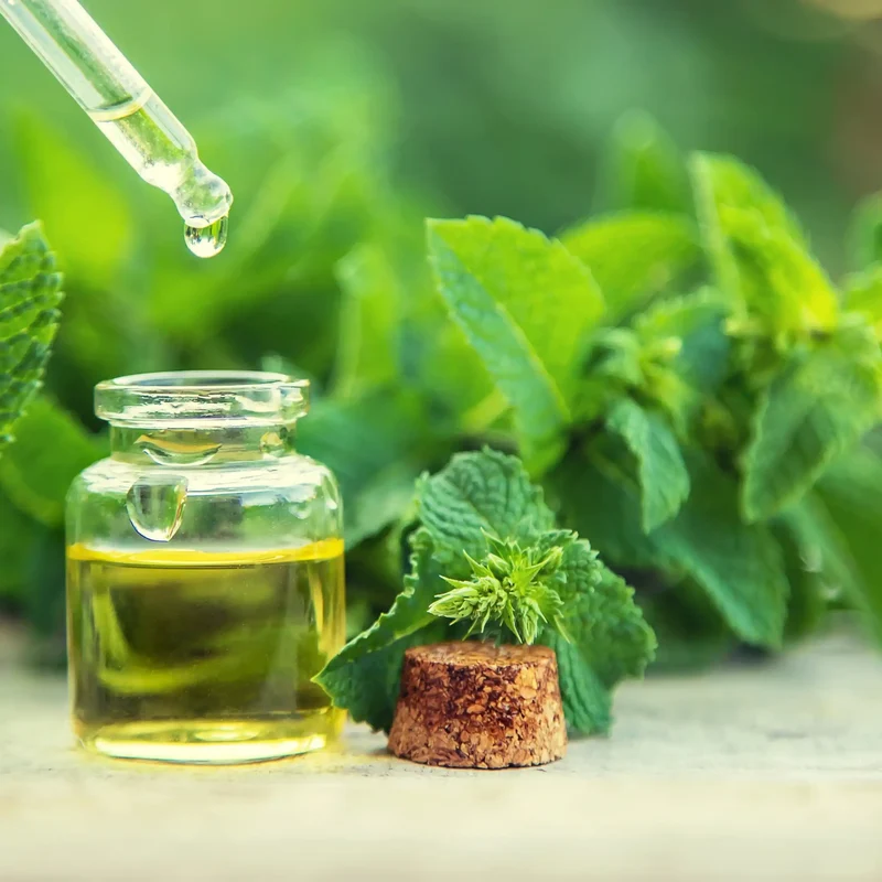 Menthe poivrée - Parfum pour bougie