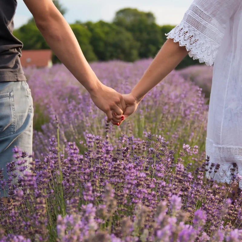Amour dans le pré - Parfum pour bougie