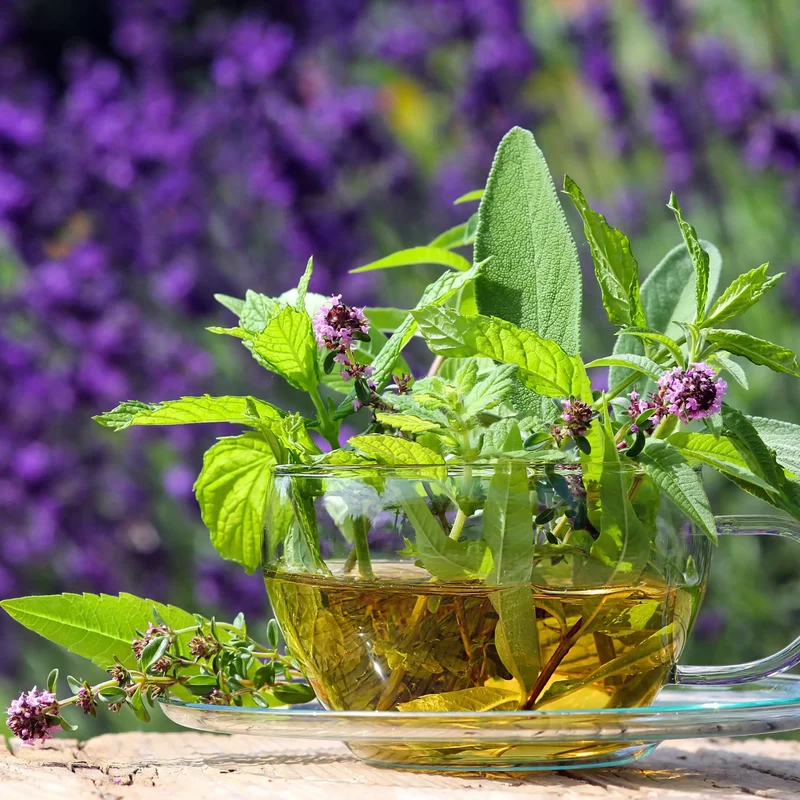 Verveine et menthe poivrée - Parfum pour bougie