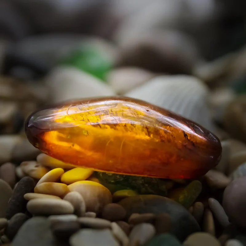 Ambre gris - Parfum pour bougie