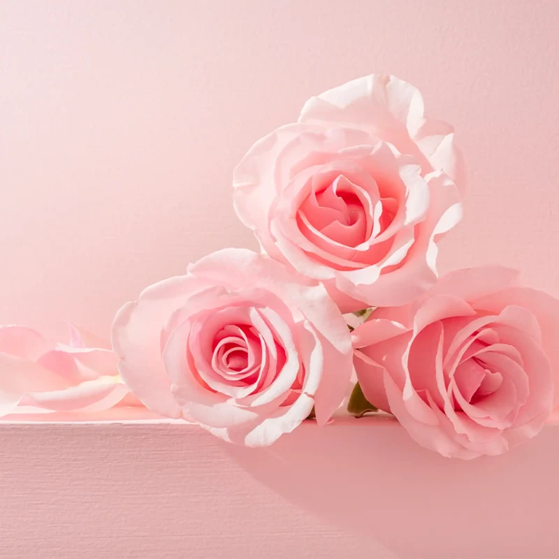 Rose - Parfum pour bougie