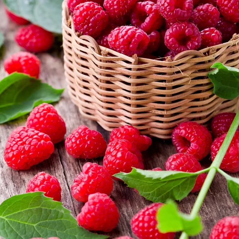 Framboise - Parfum pour bougie