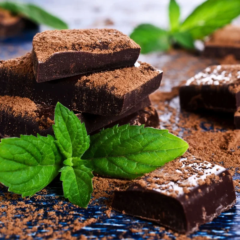 Menthe et chocolat - Parfum pour bougie