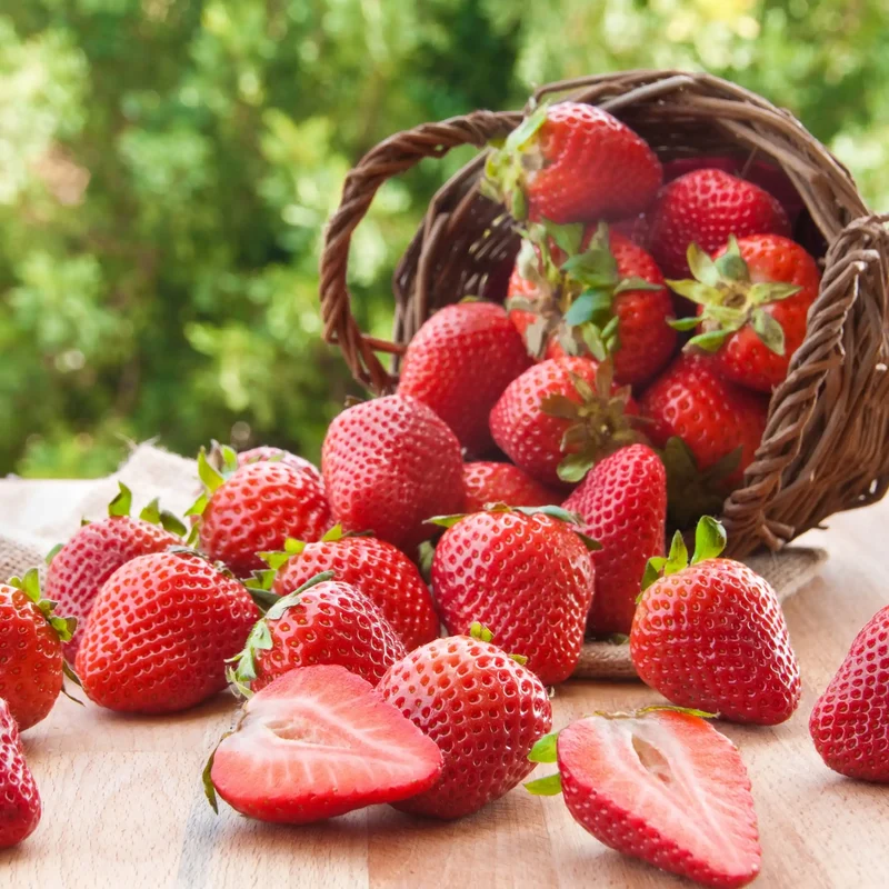 Fraise - Parfum pour bougie