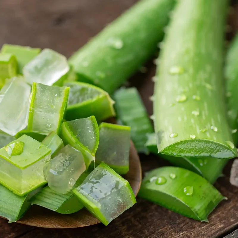 Aloe vera - Parfum pour bougie