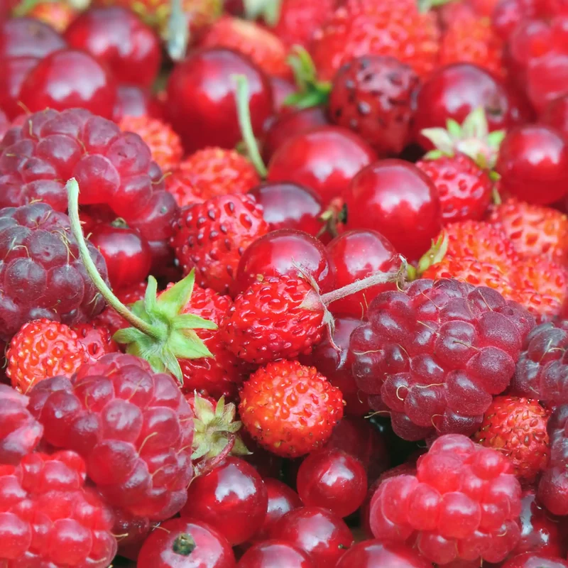 Fruits rouges - Parfum pour bougie