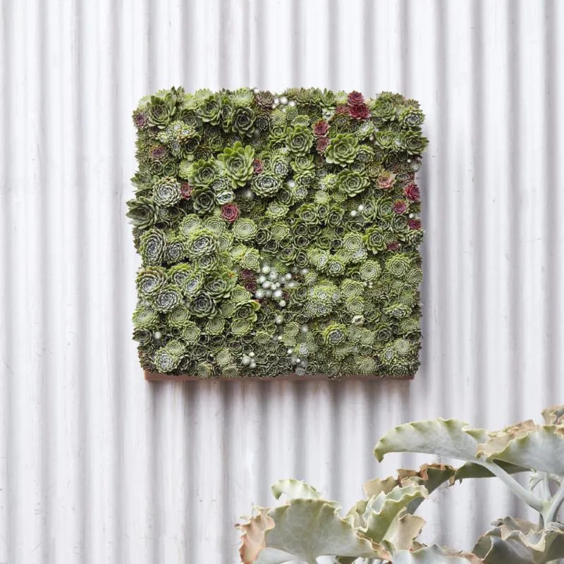 Modular Living Wall Panel Kit