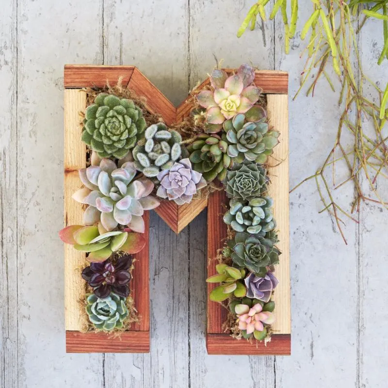 Letter Redwood Kit Small