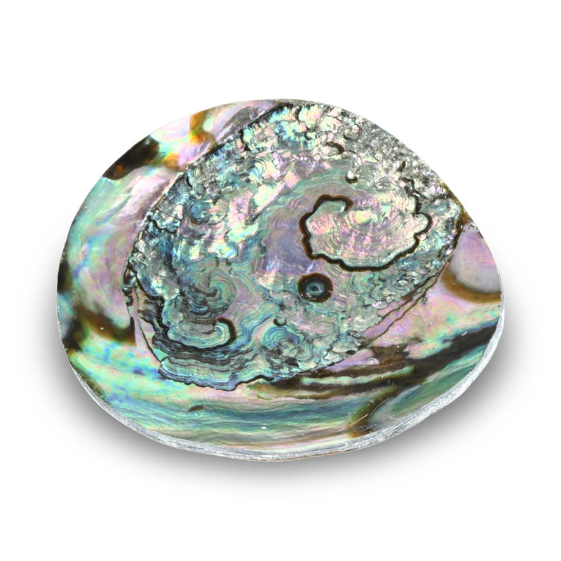 Sieradenschaaltje abalone