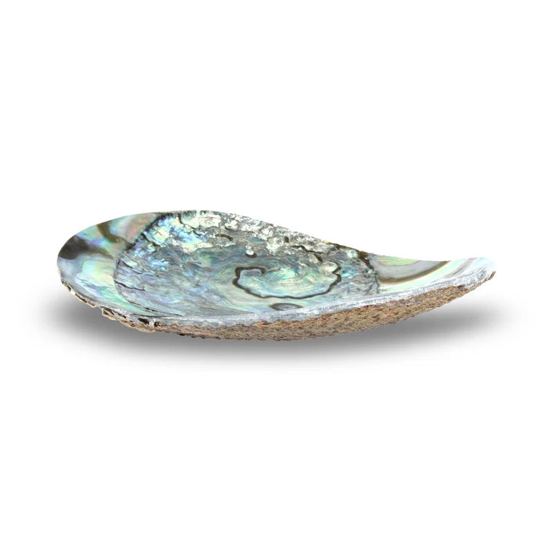 Sieradenschaaltje abalone