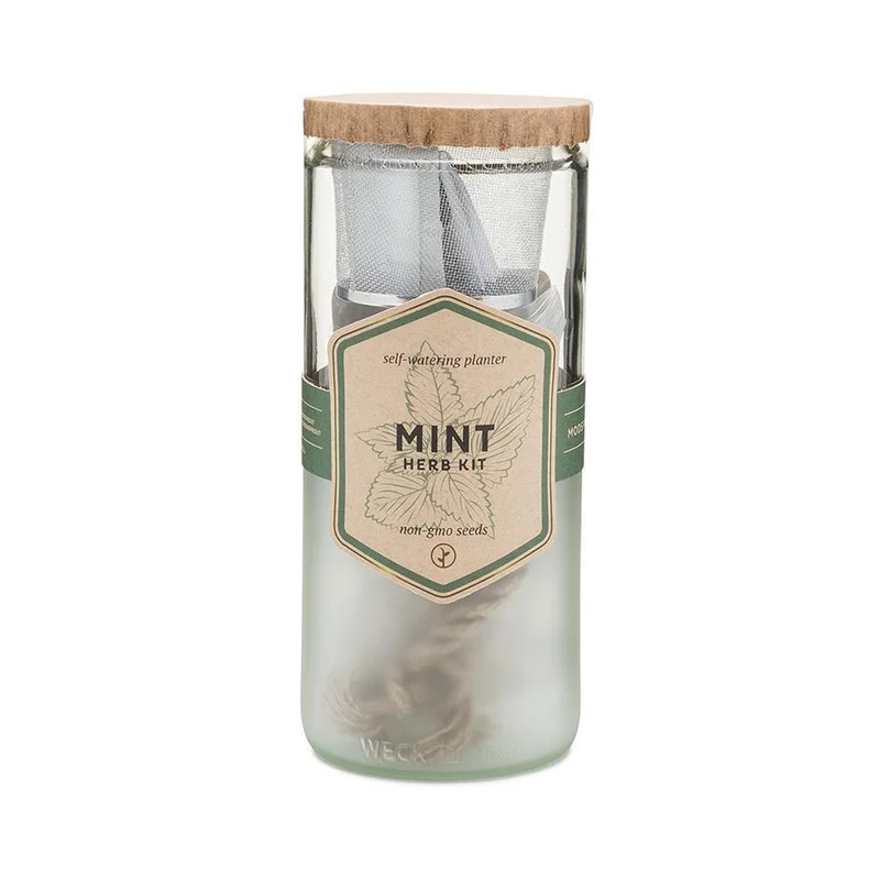 Mint Eco Planter Kit