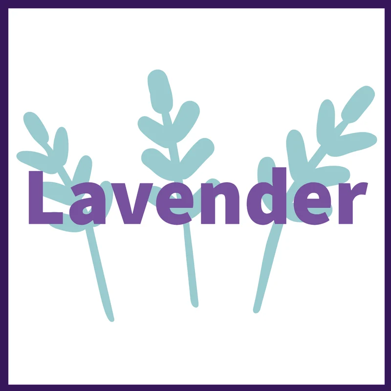 EO Collection, Lavender