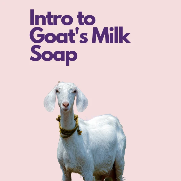 Goat's Milk Cold Process Soap (July 23rd 2026)