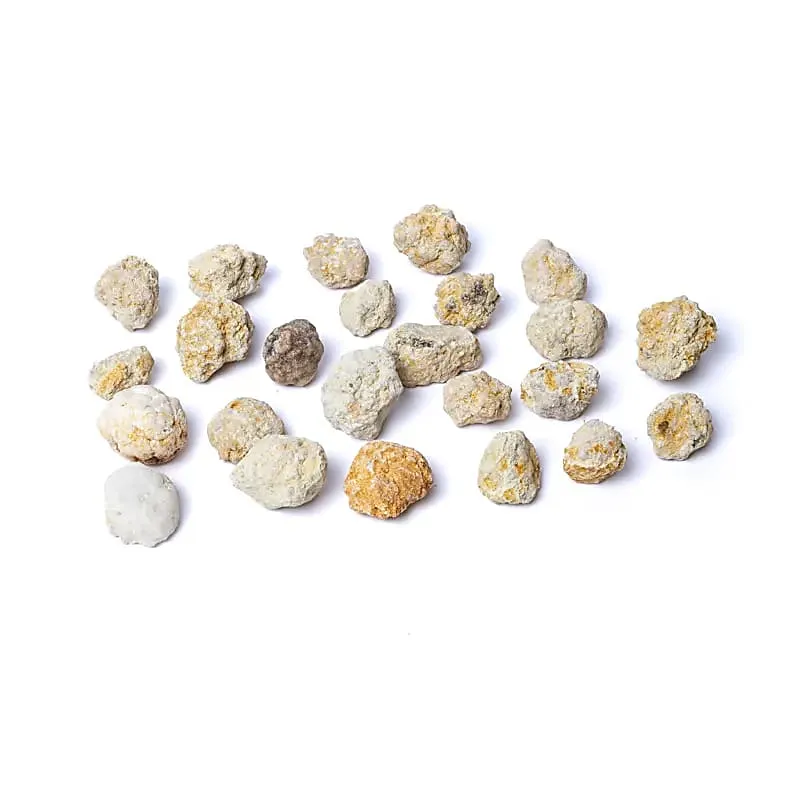 Calciet geode (ongebroken) 20-24 stuks