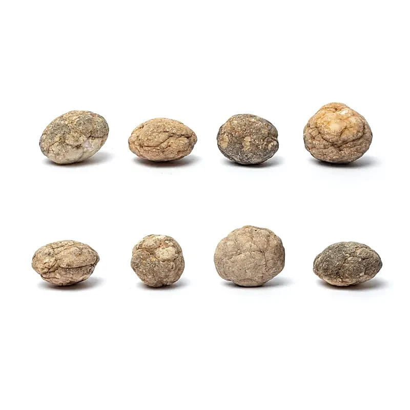 Calciet geode (ongebroken) 10-12 stuks