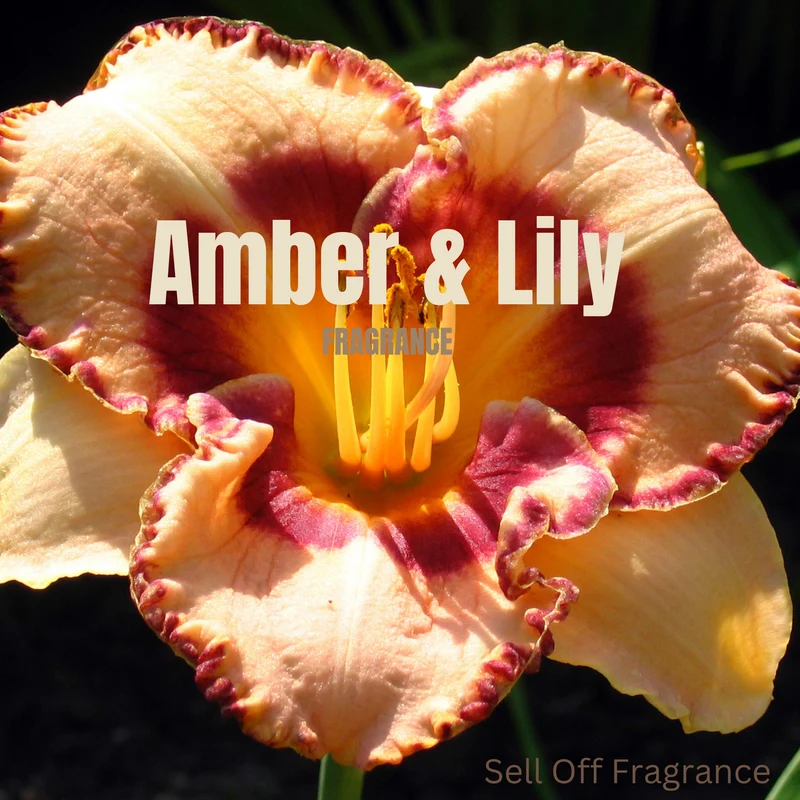Sell Off Fragrance, Dark Amber & Ginger Lily