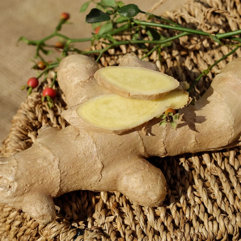 Essential Oil, Ginger Root (Dried)
