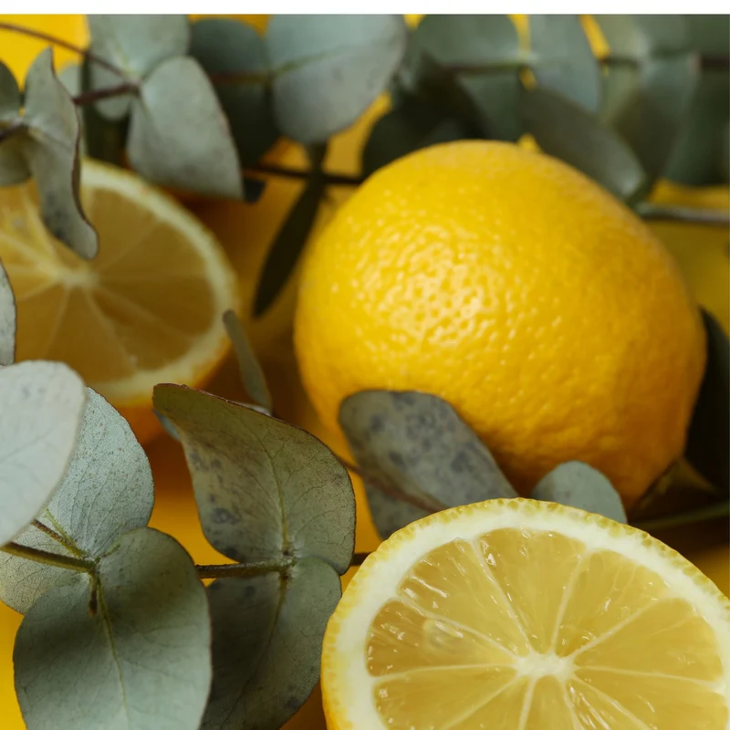 Essential Oil, Lemon Eucalyptus (Brazil)