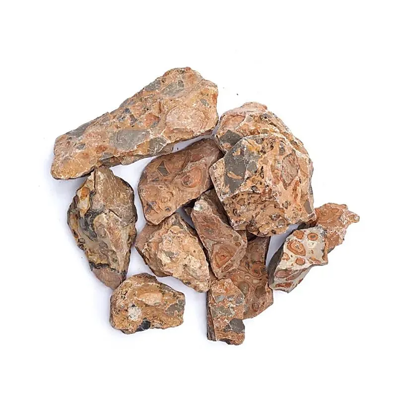 Ruwe leopardiet