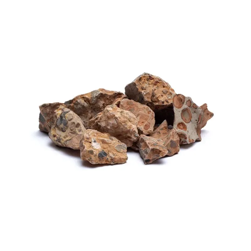 Ruwe leopardiet