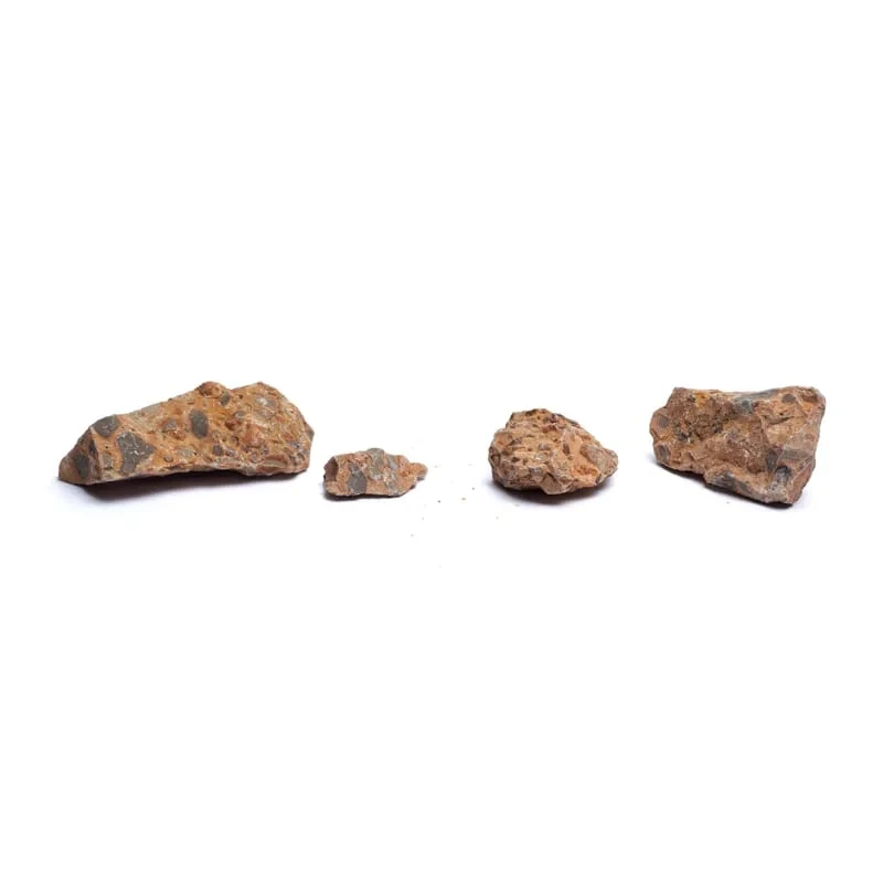 Ruwe leopardiet