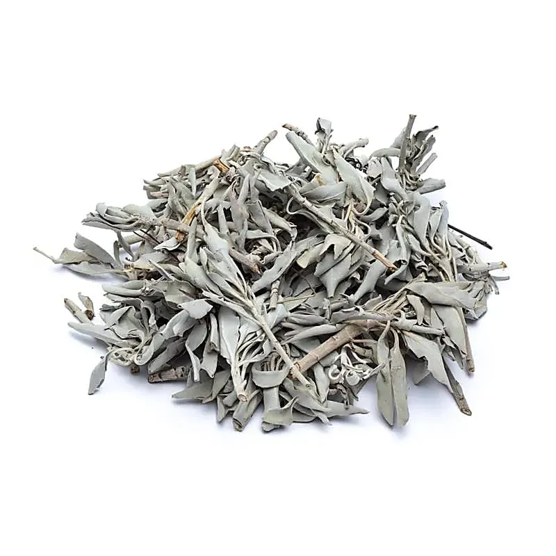 Wierook Witte Salie (Salvia Apiana)