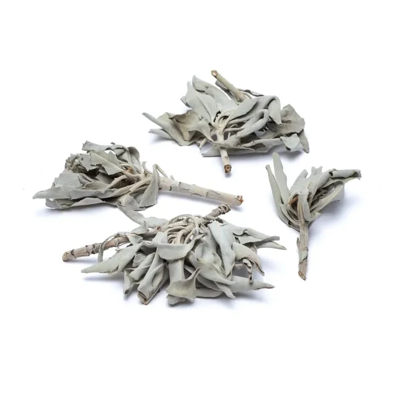 Wierook Witte Salie (Salvia Apiana)
