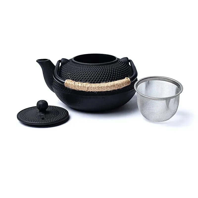 Tetsubin gietijzeren 0,6 liter theepot zwart (zonder coating)