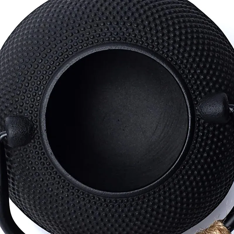 Tetsubin gietijzeren 0,6 liter theepot zwart (zonder coating)