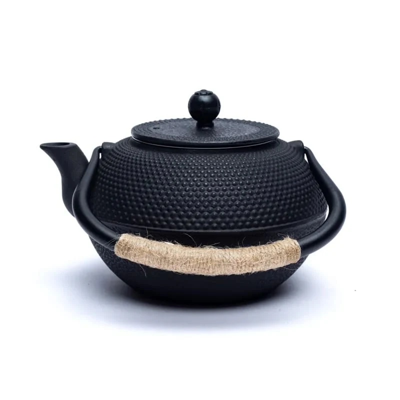 Tetsukyusu geëmailleerde 1,2 liter theepot zwart