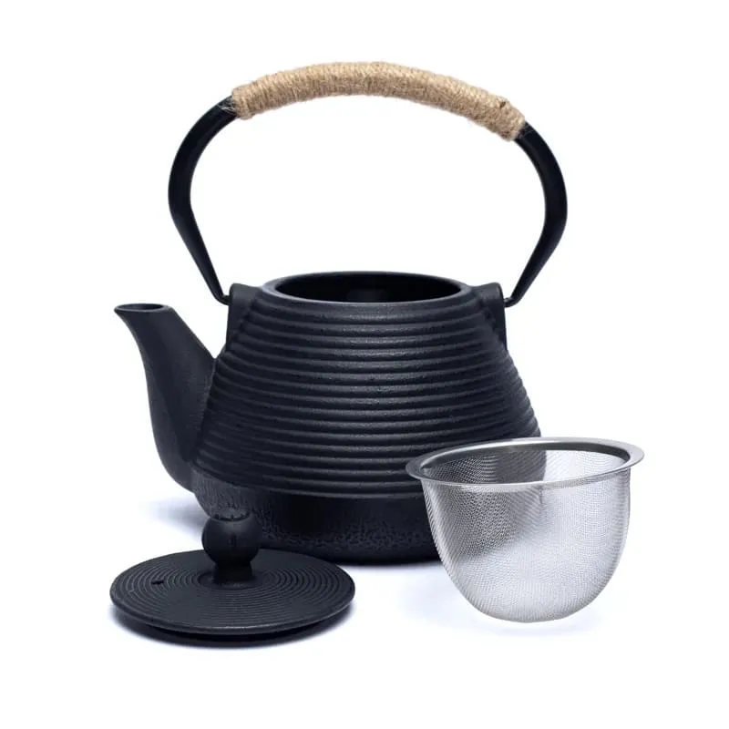 Tetsukyusu geëmailleerde 1,0 liter theepot zwart