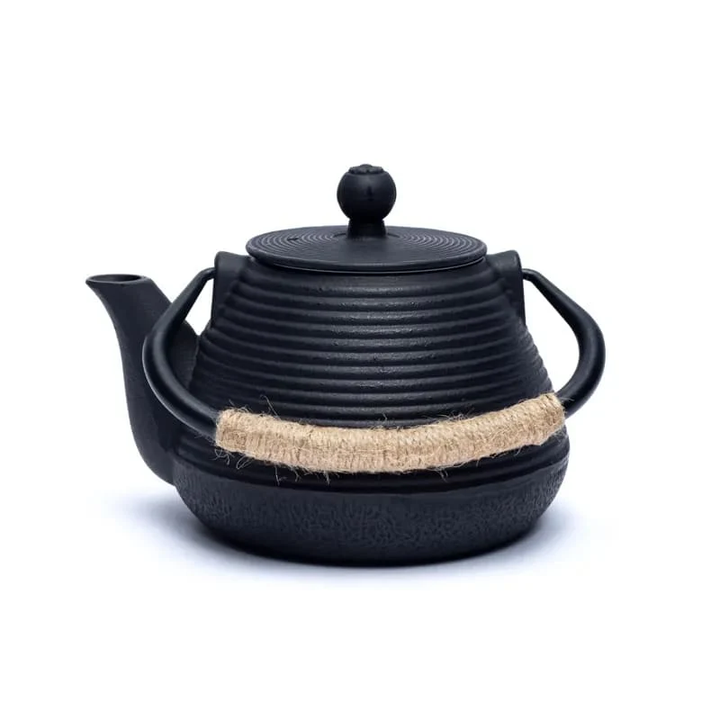 Tetsukyusu geëmailleerde 1,0 liter theepot zwart