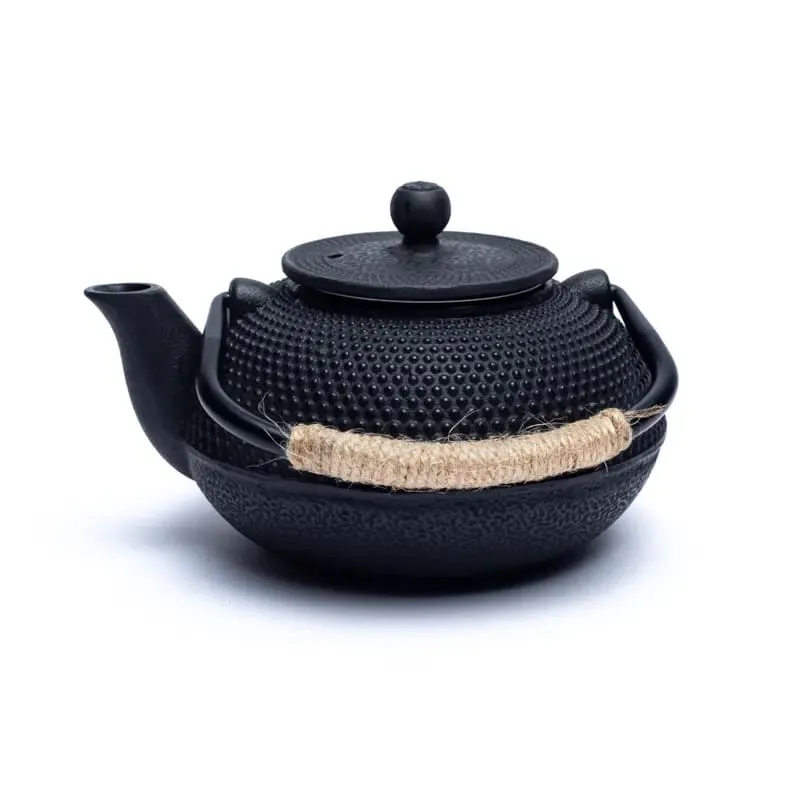 Tetsukyusu geëmailleerde 0,6 liter theepot zwart