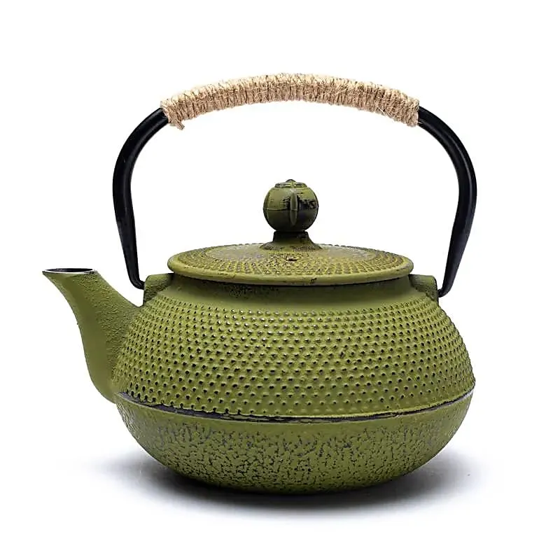 Tetsukyusu geëmailleerde 0,6 liter theepot groen