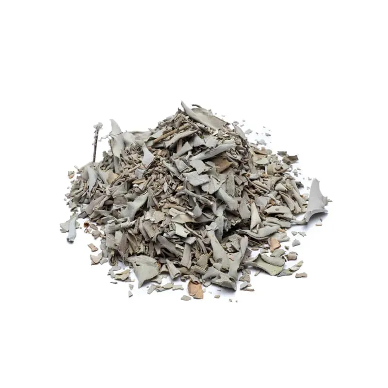 Wierook Witte Salie (Salvia Apiana) in pot