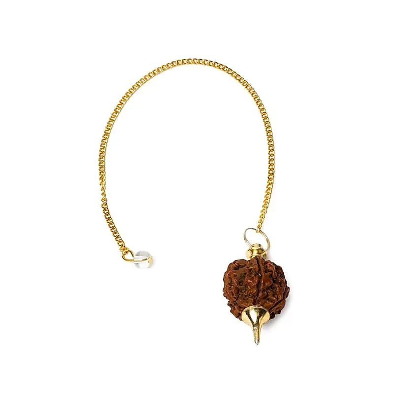 Rudraksha Pendel goudkleurig