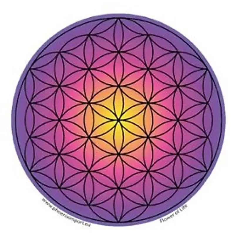 Raamsticker Bloem des Levens