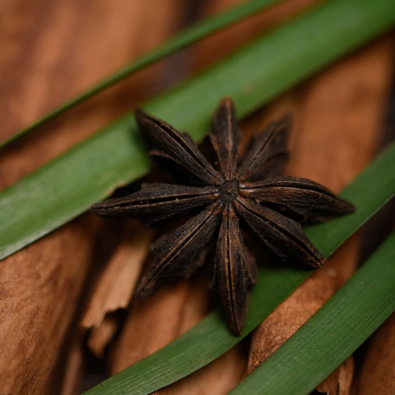 Sagrada Madre premium herbal smudge bombs Fortune