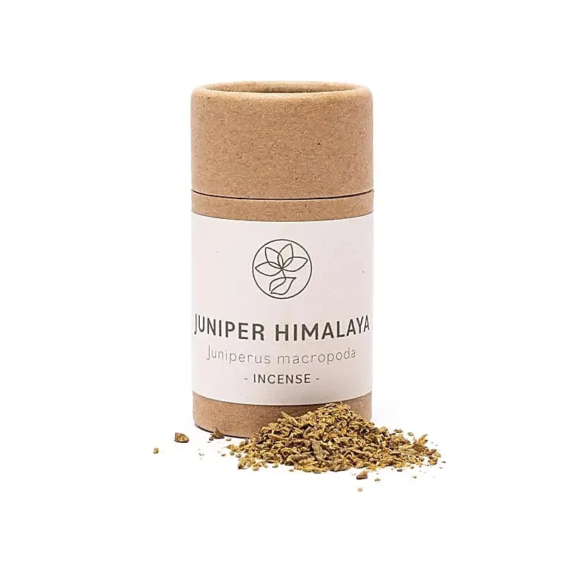 Jeneverbessen Himalaya wierookkruid